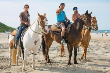 Outer Banks & Nags Head Beach Horseback Riding Tours | VBH